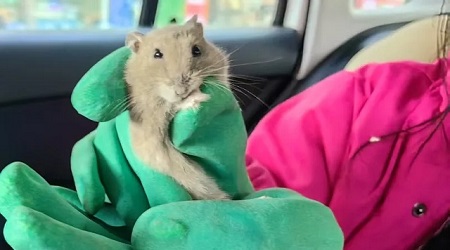 �l�孩子选礼物攻略：不同�q�龄的孩子，对礼物的需求也不一�? class=